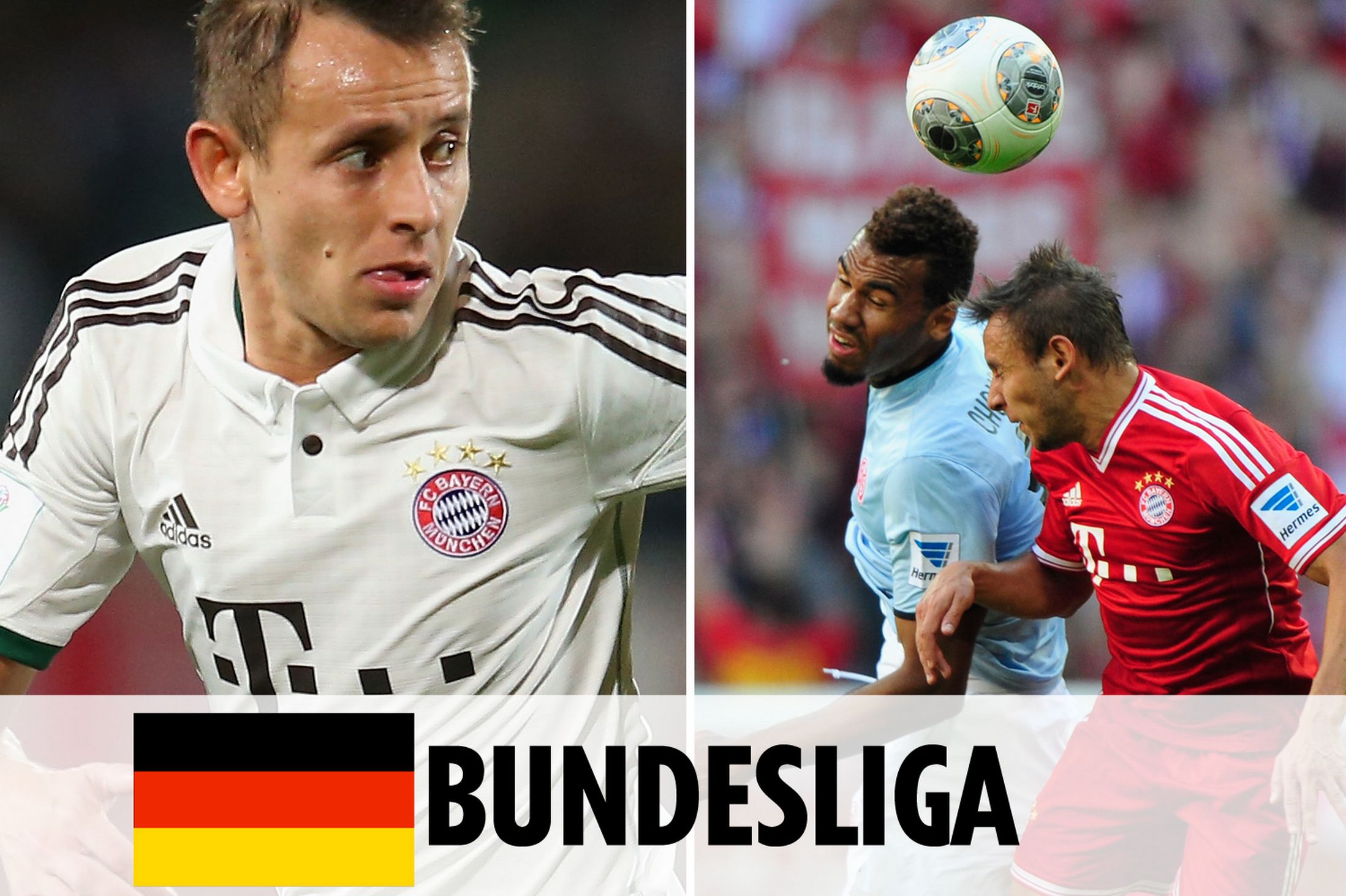 厂商押注 厂商押注